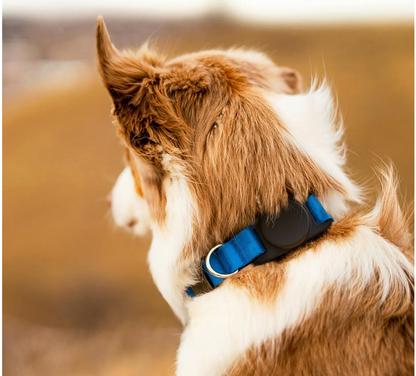 KeyBudz PawTag Pet Collar Mount for AirTag (1 Pack)